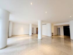 The Colonnade (D10), Condominium #563474711